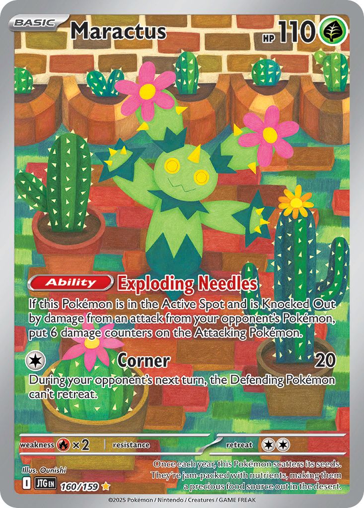 Maractus