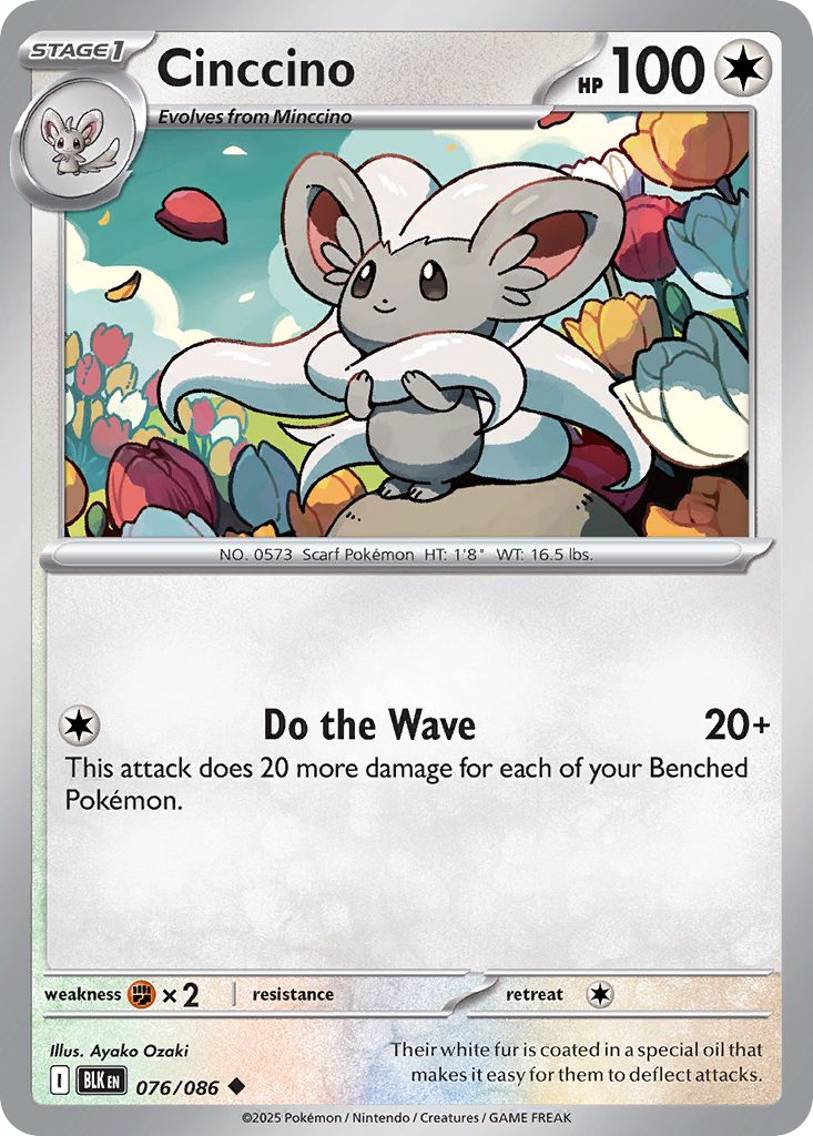 Cinccino