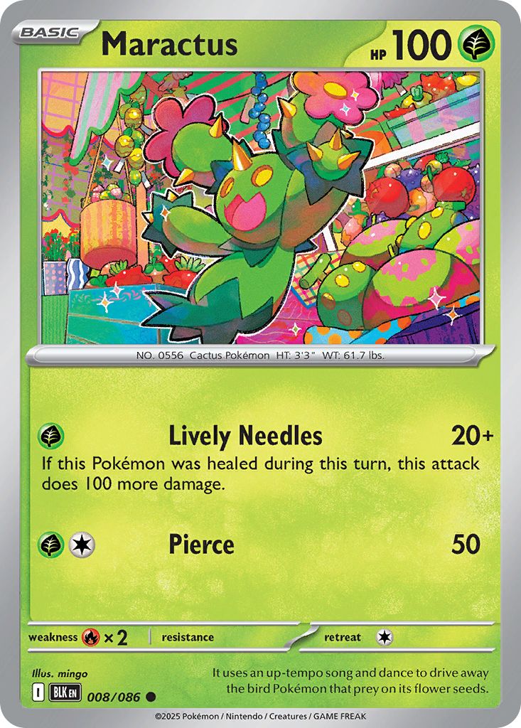 Maractus