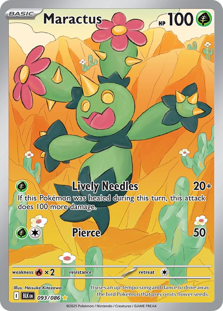 Maractus