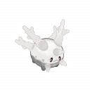 Corsola