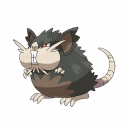 Raticate