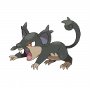 Rattata