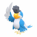 Squawkabilly