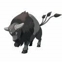Tauros